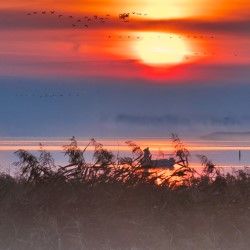 Sonnenaufgang in Bresewitz